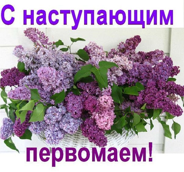 Открытки на Праздник весны и труда (1 мая) #3444