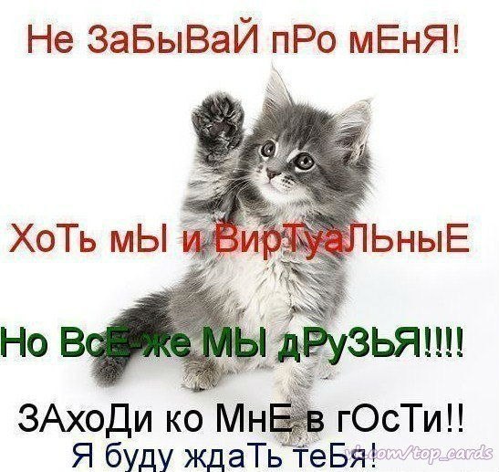Для друзей