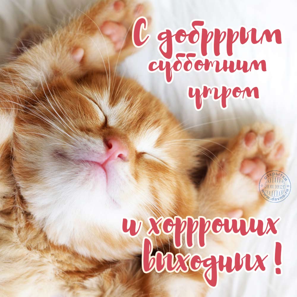 Открытка «Суббота» №5935
