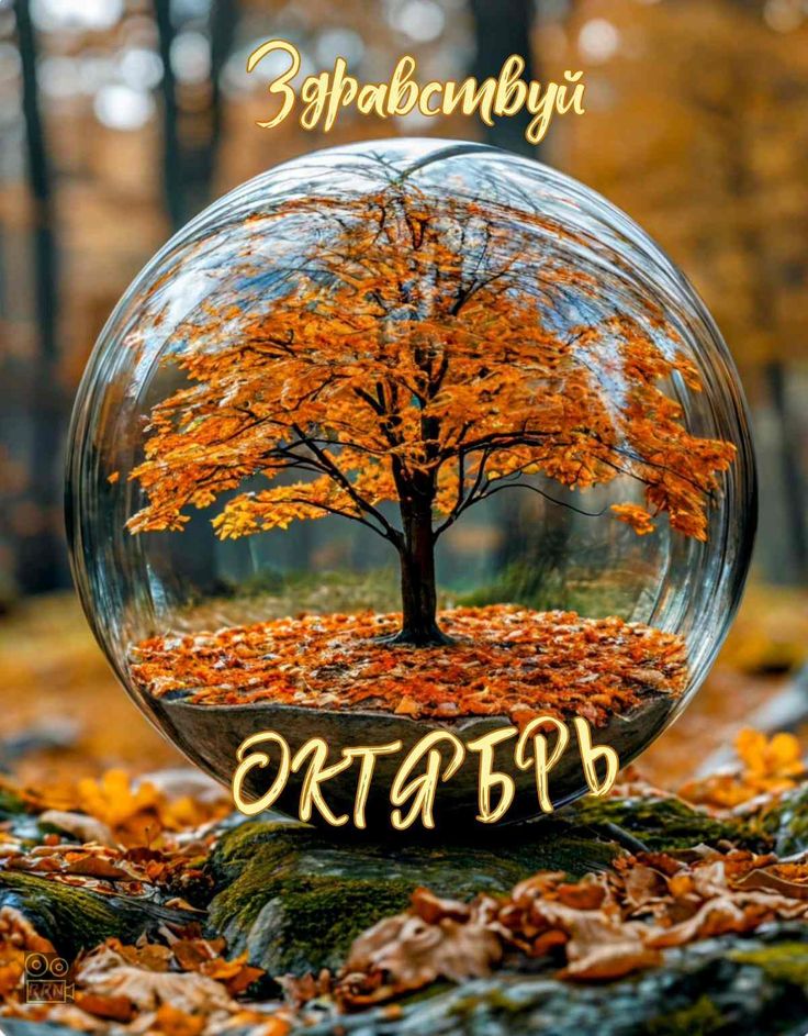 Октябрь