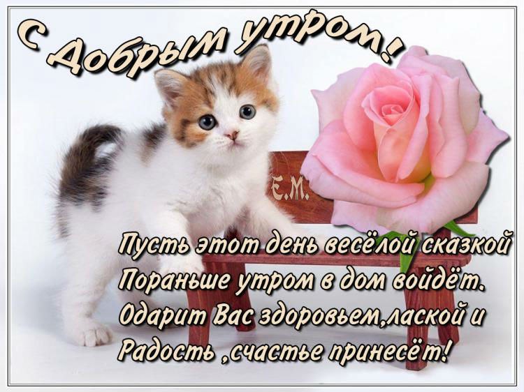 Доброе утро