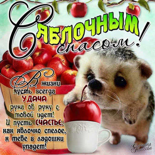 Открытка «Яблочный спас» №7683