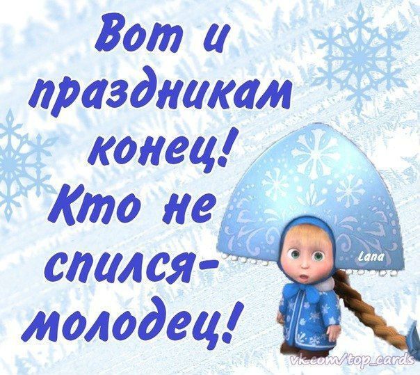 Приколы