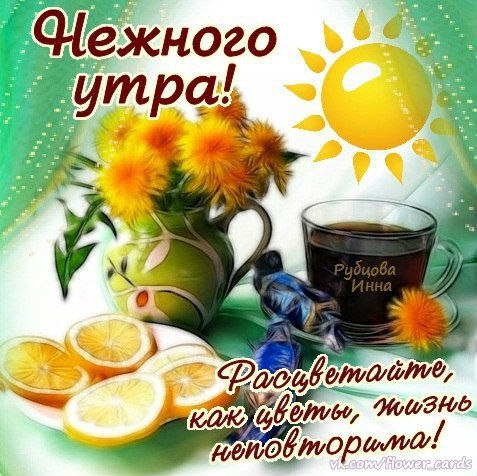 Доброе утро