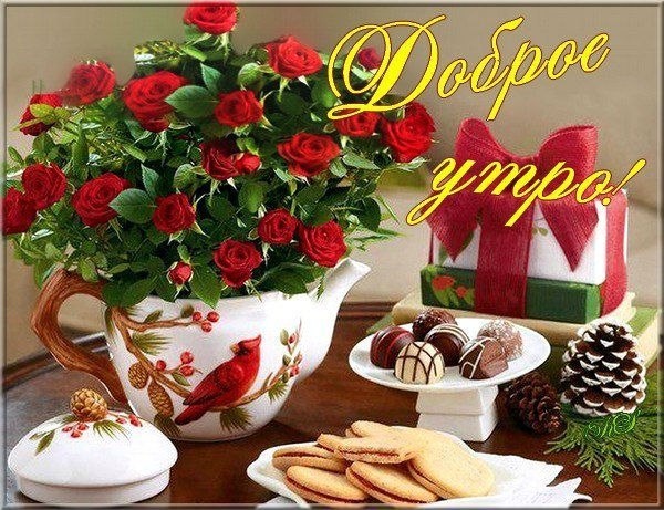 Доброе утро
