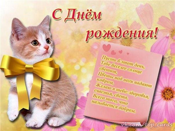 День рождения