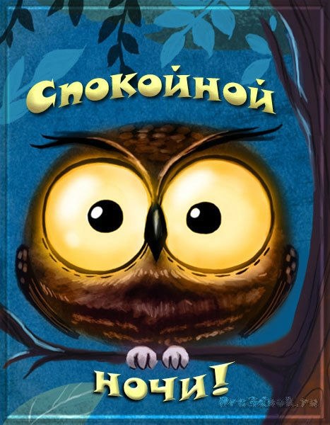 Спокойной ночи