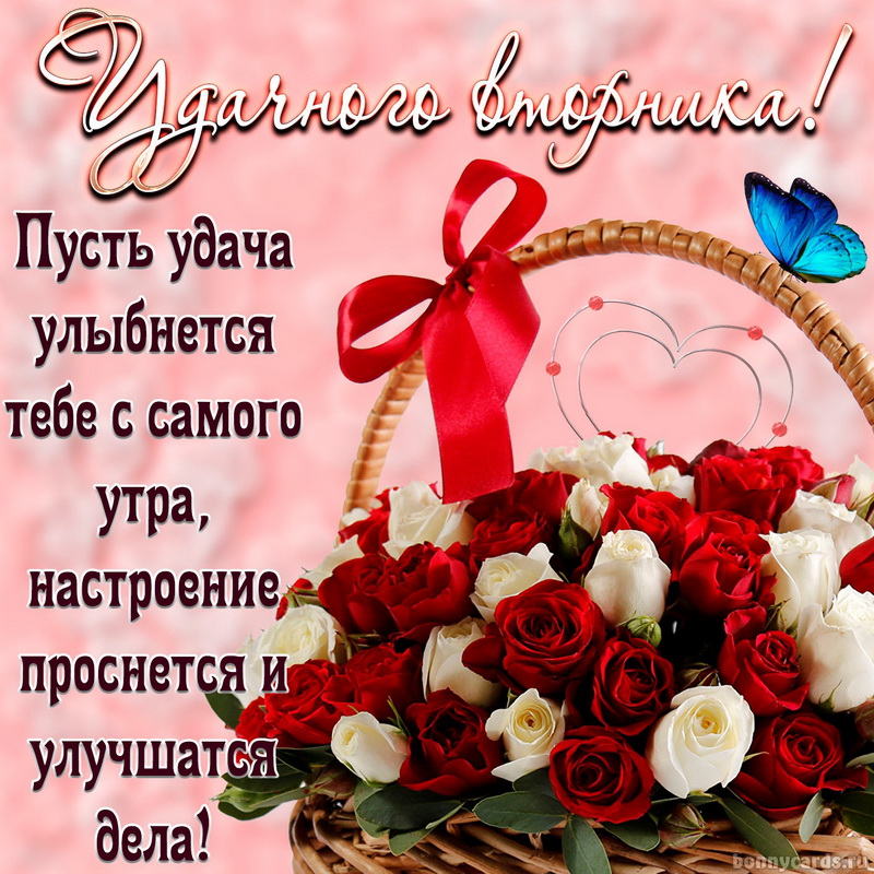 Открытка «Дни недели» №6724