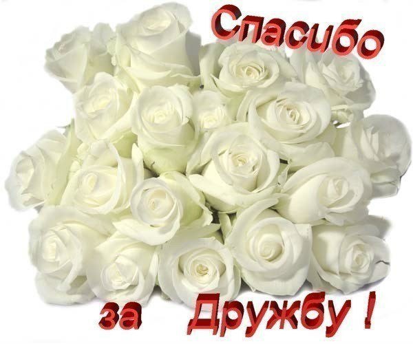 Спасибо