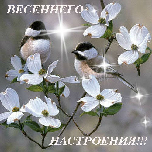 Открытка «Времена года» №4541