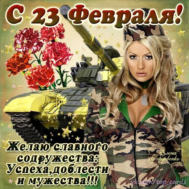 День защитника Отечества (23 февраля)