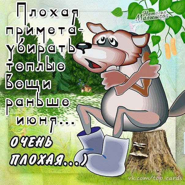 Приколы