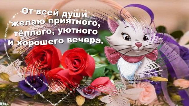 Добрый вечер
