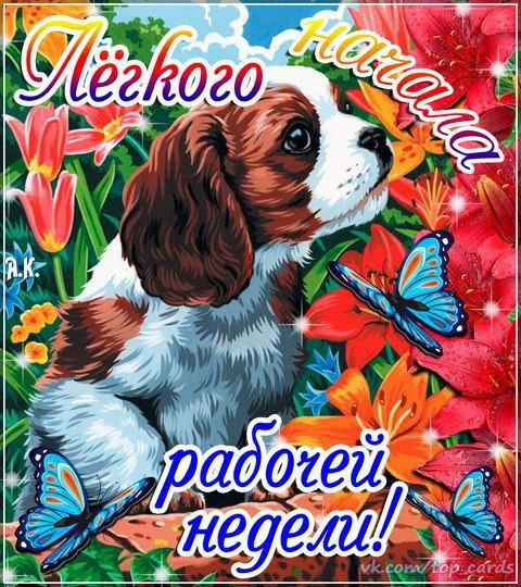 Хорошей недели