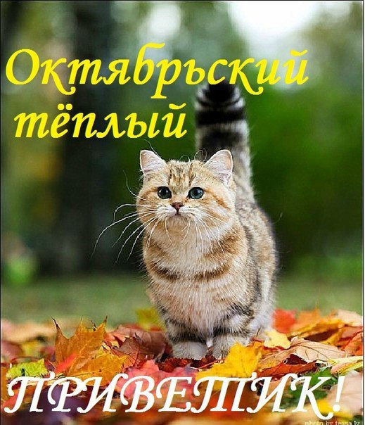 Осень