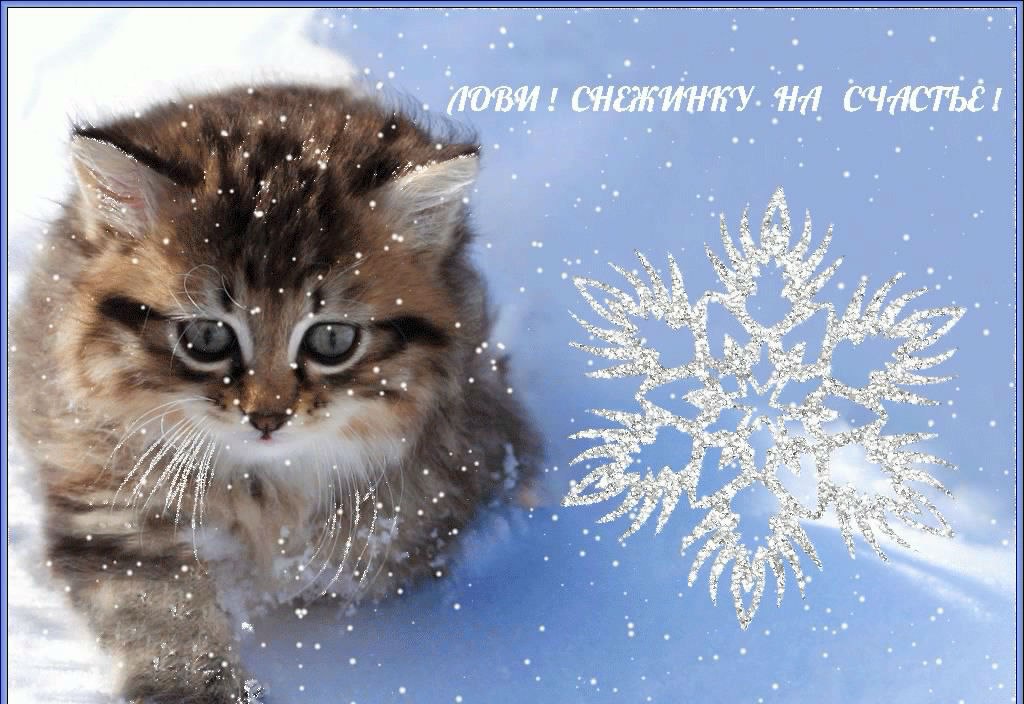Открытка «Зима» №865