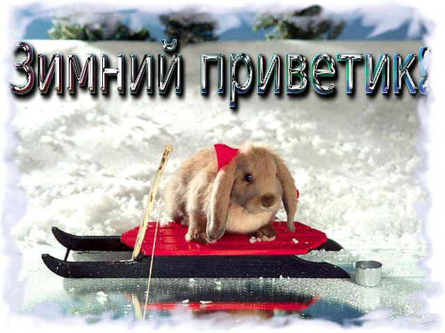 Привет
