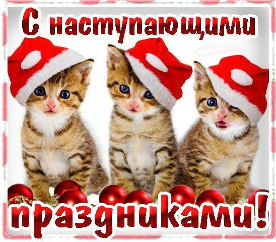 С наступающим