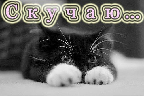 Любовь