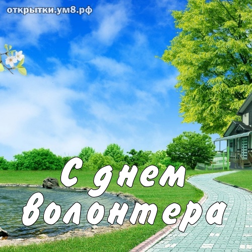 День волонтёра