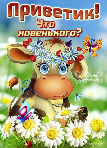 Привет
