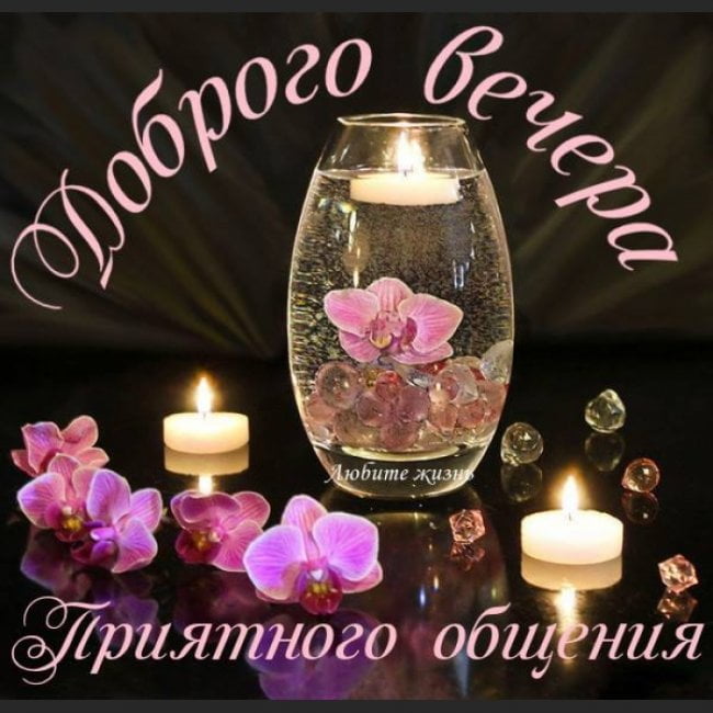 Добрый вечер