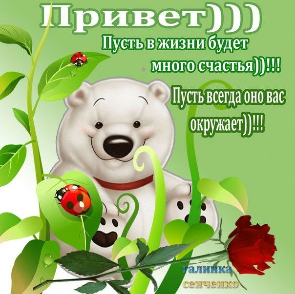 Привет