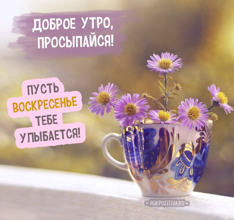 Открытка «Воскресенье» №5955