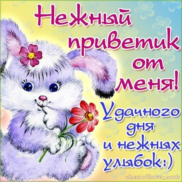 Привет