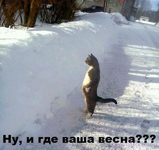Открытка «Времена года» №4551