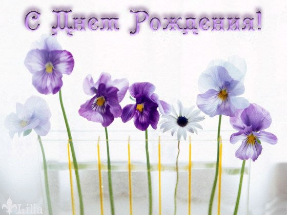 День рождения