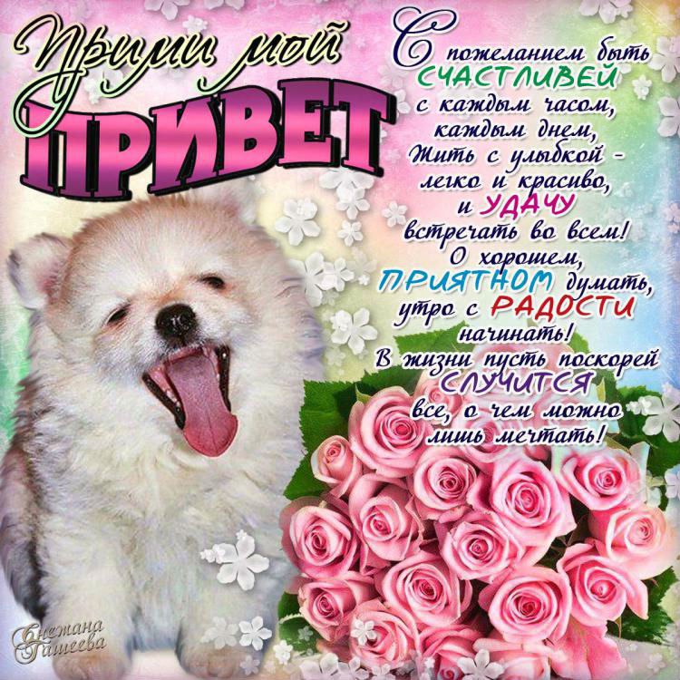 Привет