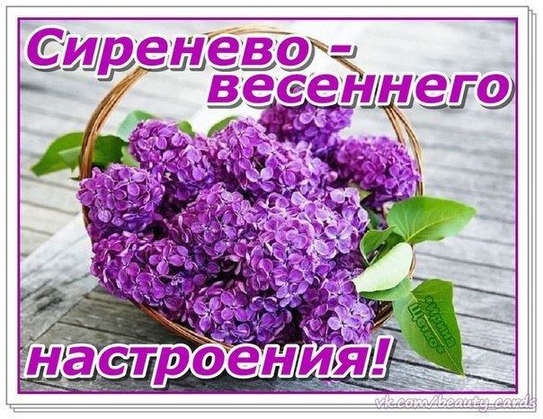 Открытка «Хорошего настроения» №2838
