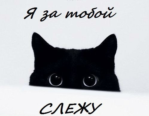 Приколы