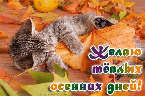 Осень