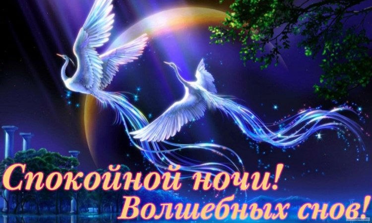 Открытка «Спокойной ночи» №1434
