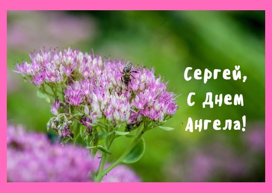 Сергей