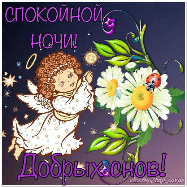 Спокойной ночи