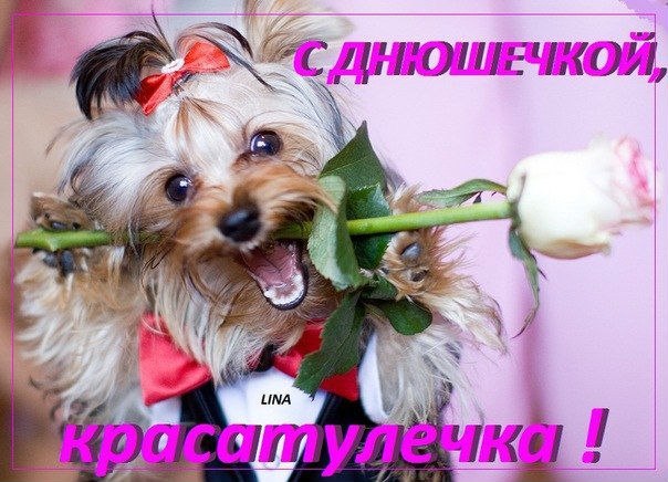 Женщине