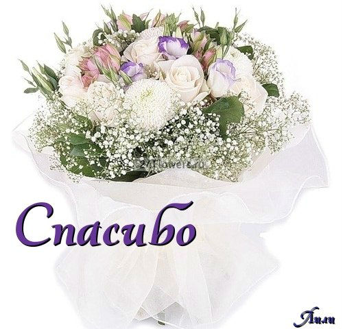 Спасибо