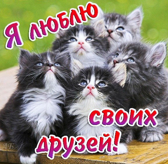 Для друзей