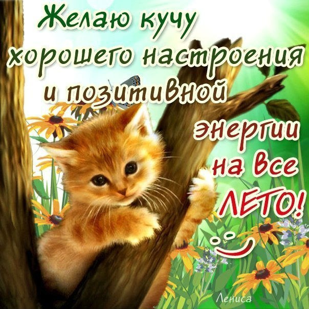 Лето