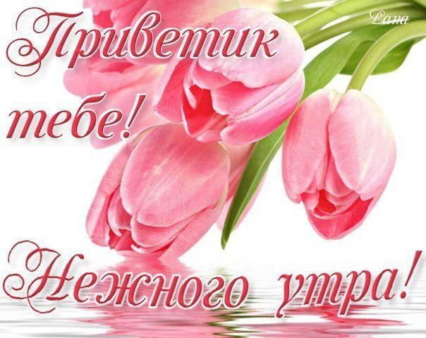 Привет