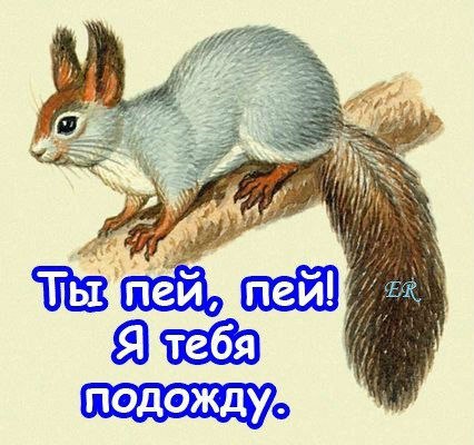Открытка «Приколы» №2789