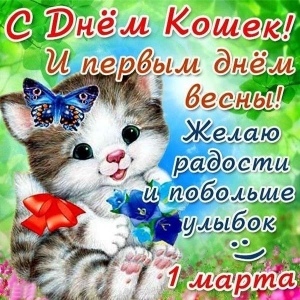 Открытка «День кошек» №6754