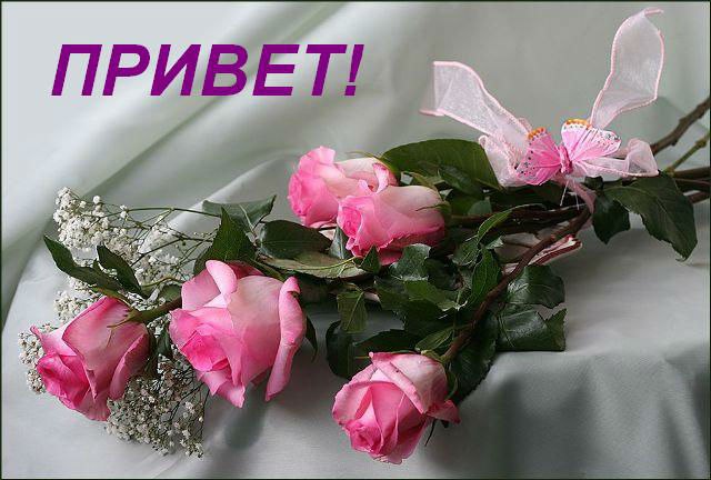 Привет
