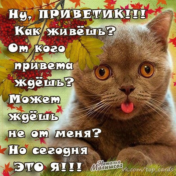 Открытка «Привет» №2401