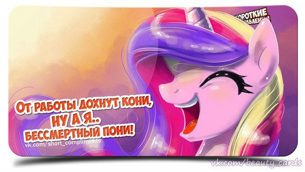 Приколы