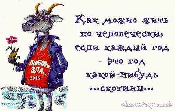 Приколы