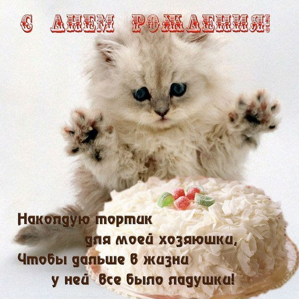 День рождения